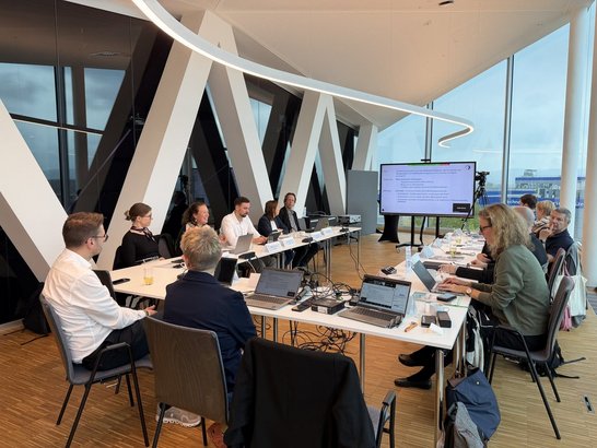 Gruppenbild der ExpertInnenplattform im Oktober 2025.